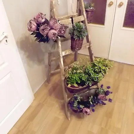 Iris Quarto em Acomodações Particulares *