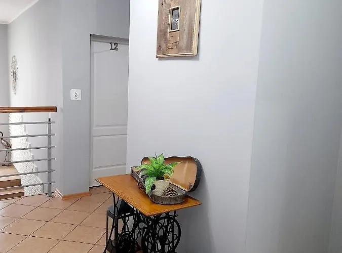 依瑞斯别墅民宿 民宿 *