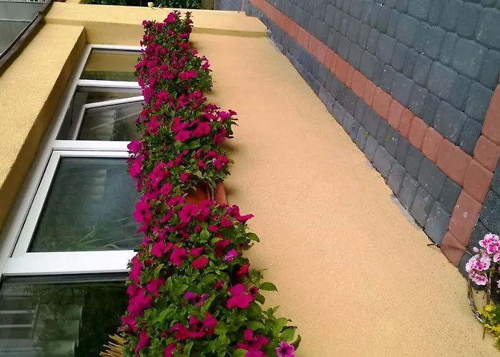 依瑞斯别墅民宿 *