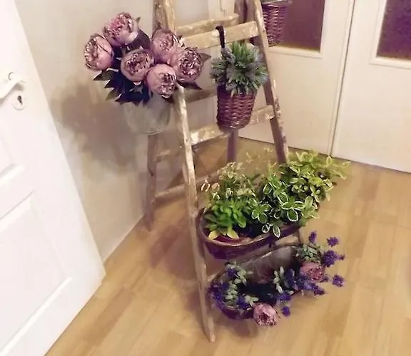 依瑞斯别墅民宿 民宿 *